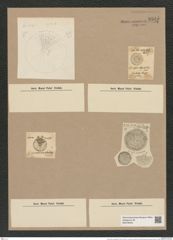 Coscinodiscus elegantulus Grev. (de-Toni-Nr.: Genus 202, Species 5076) Zeichnungen Sammlung Grunow Nr. 8825 (NHMW-BOT-W0378442)